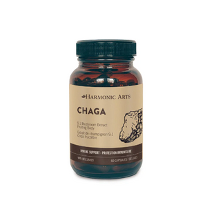 Harmonic Arts - Chaga  (60 caps)