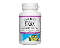 Natural Factors - GABA 250mg (60caps)