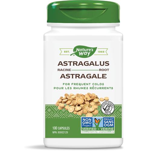 Nature's Way - Astragalus Root (100 caps)